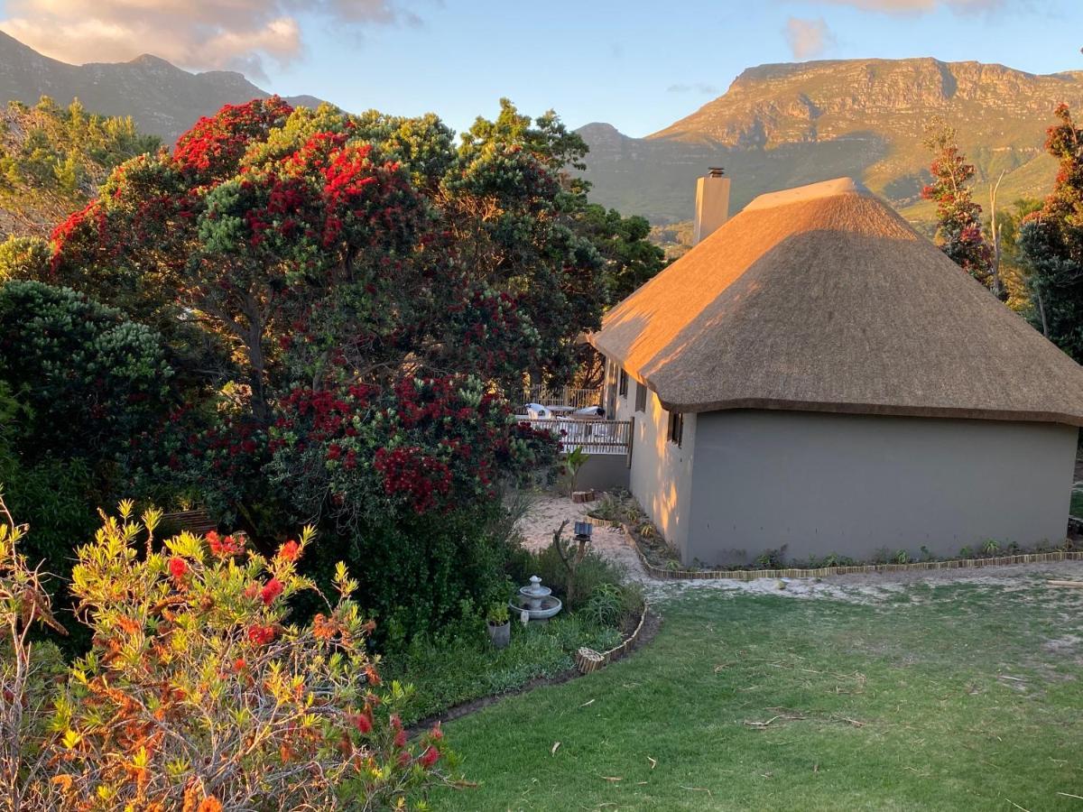 Wild Rose Country Lodge Noordhoek Exterior photo